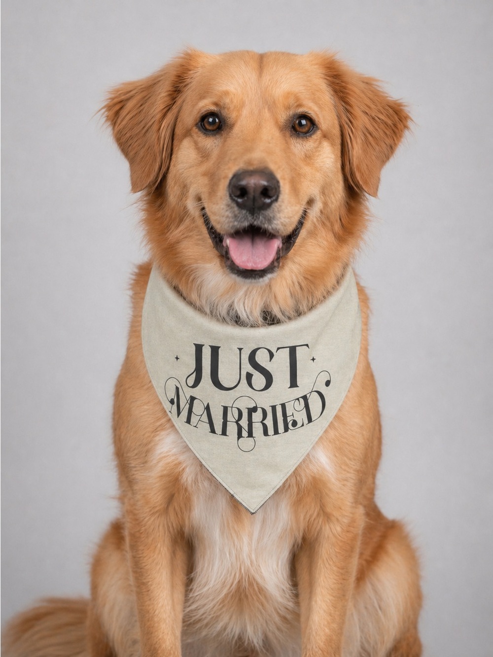 NWT Top Paw Reversible Pet Wedding Bandana “Engaged/Just Married” Size L/XL